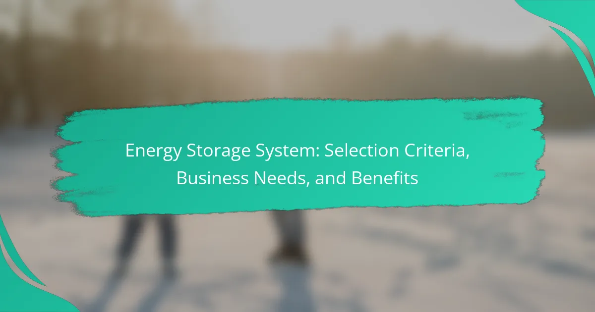 Energy Storage System: Selection Criteria, Business Needs, and Benefits