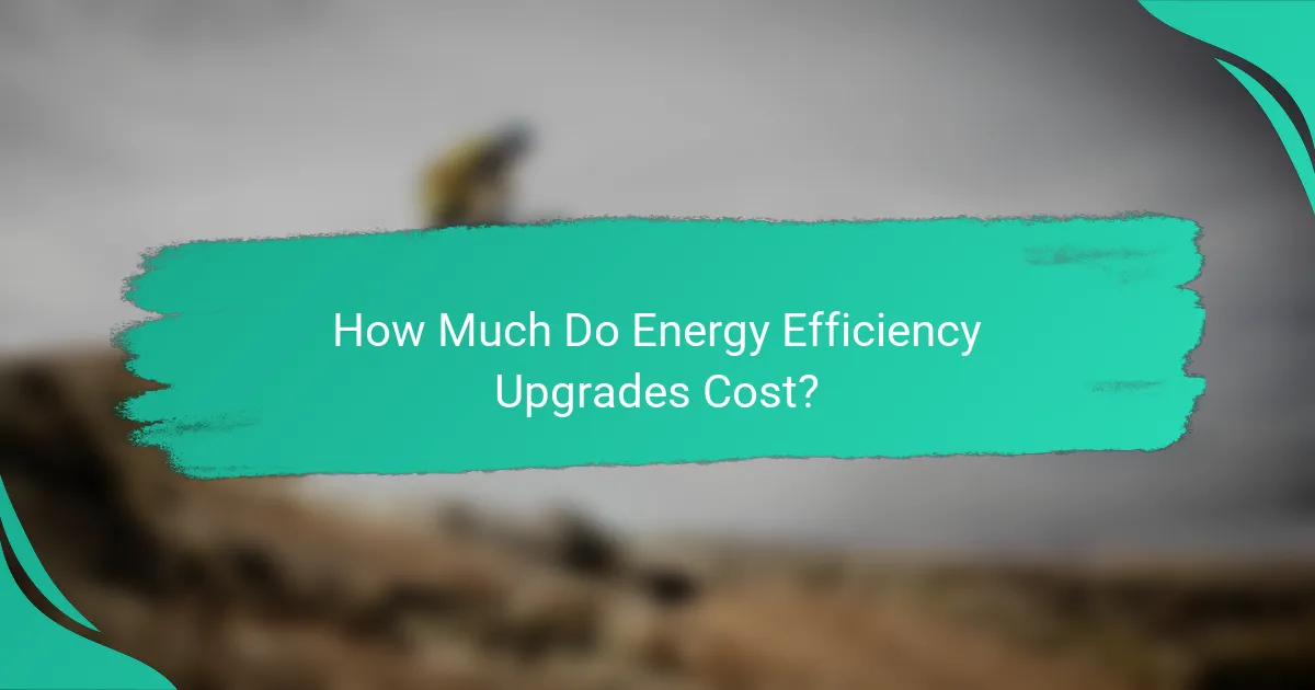 How Much Do Energy Efficiency Upgrades Cost?