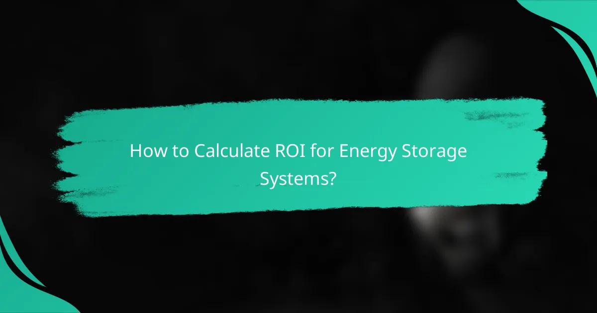 How to Calculate ROI for Energy Storage Systems?