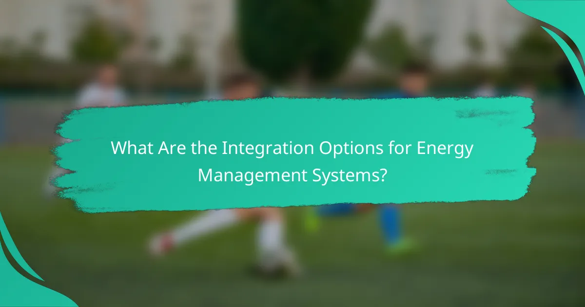 What Are the Integration Options for Energy Management Systems?
