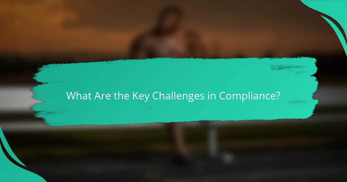 What Are the Key Challenges in Compliance?