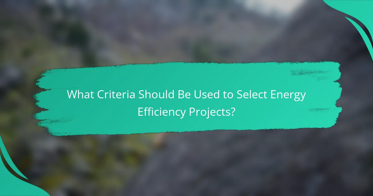 What Criteria Should Be Used to Select Energy Efficiency Projects?