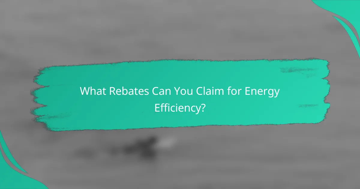 What Rebates Can You Claim for Energy Efficiency?